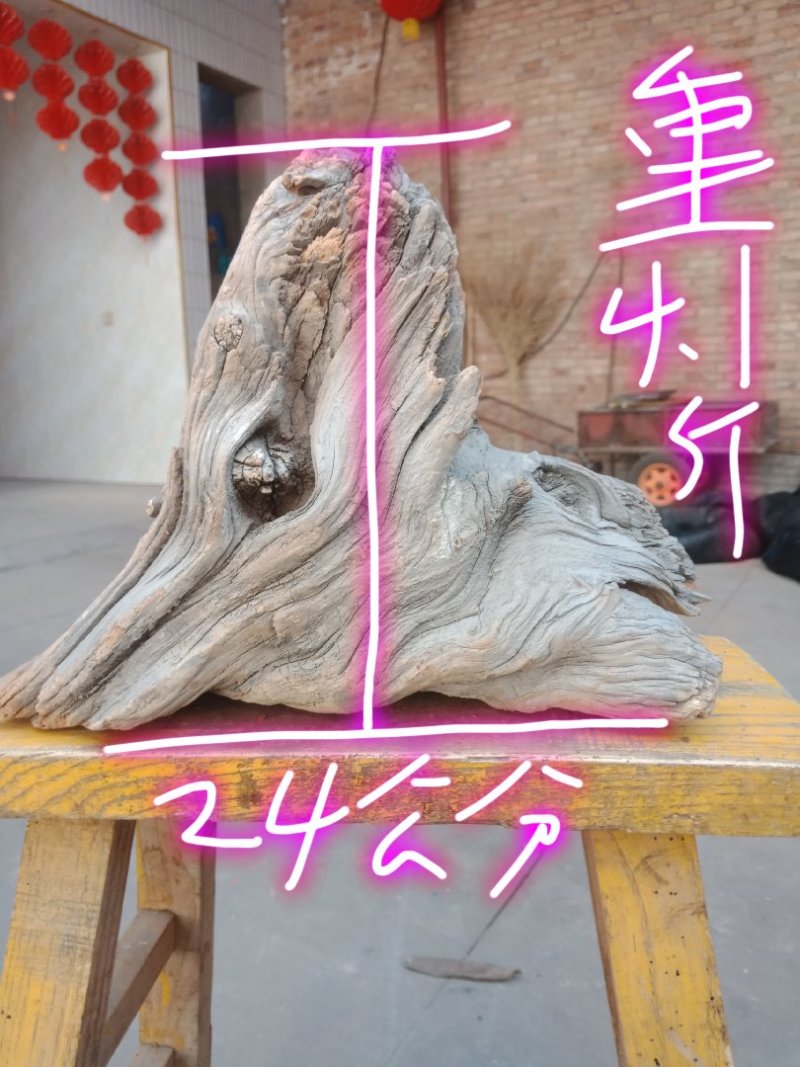 太行崖柏