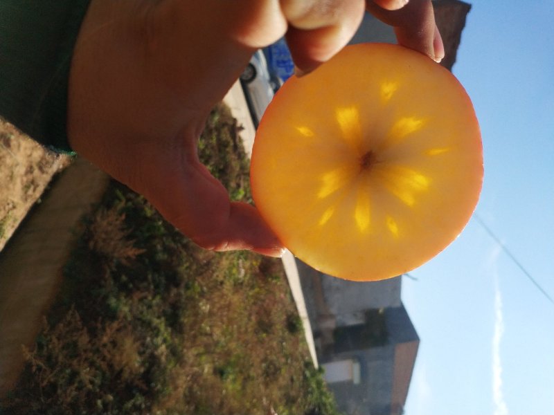 河南精品冰糖心苹果红富士优质货源，一手货源量大价优