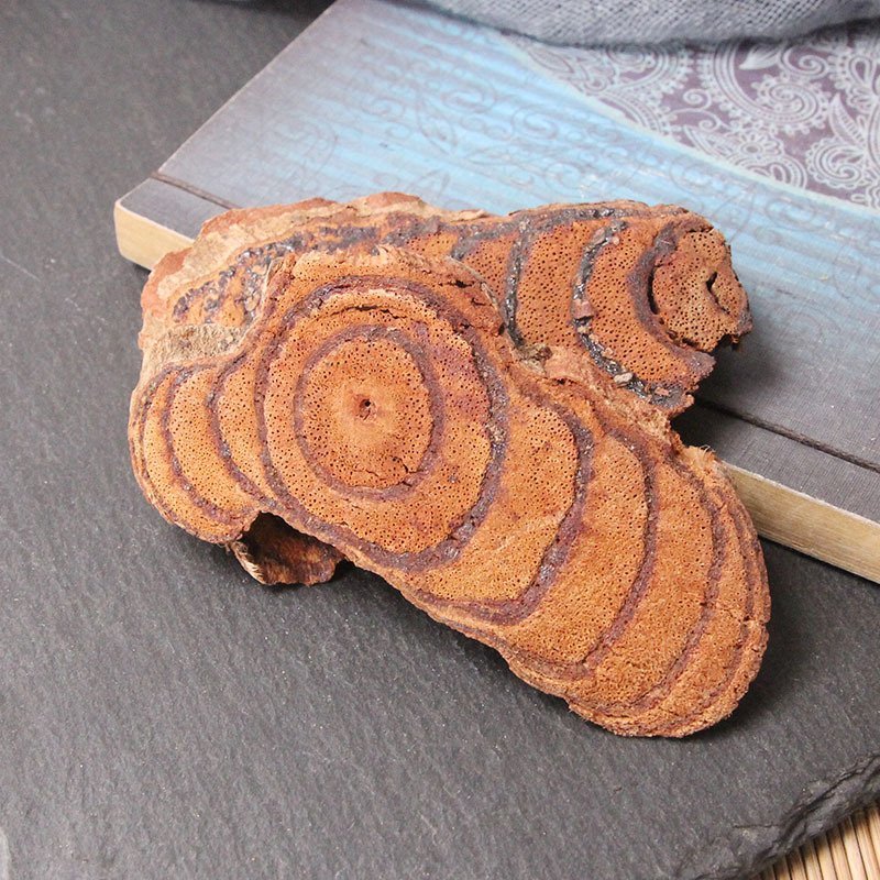鸡血藤鸡血藤片产地直销量大从优