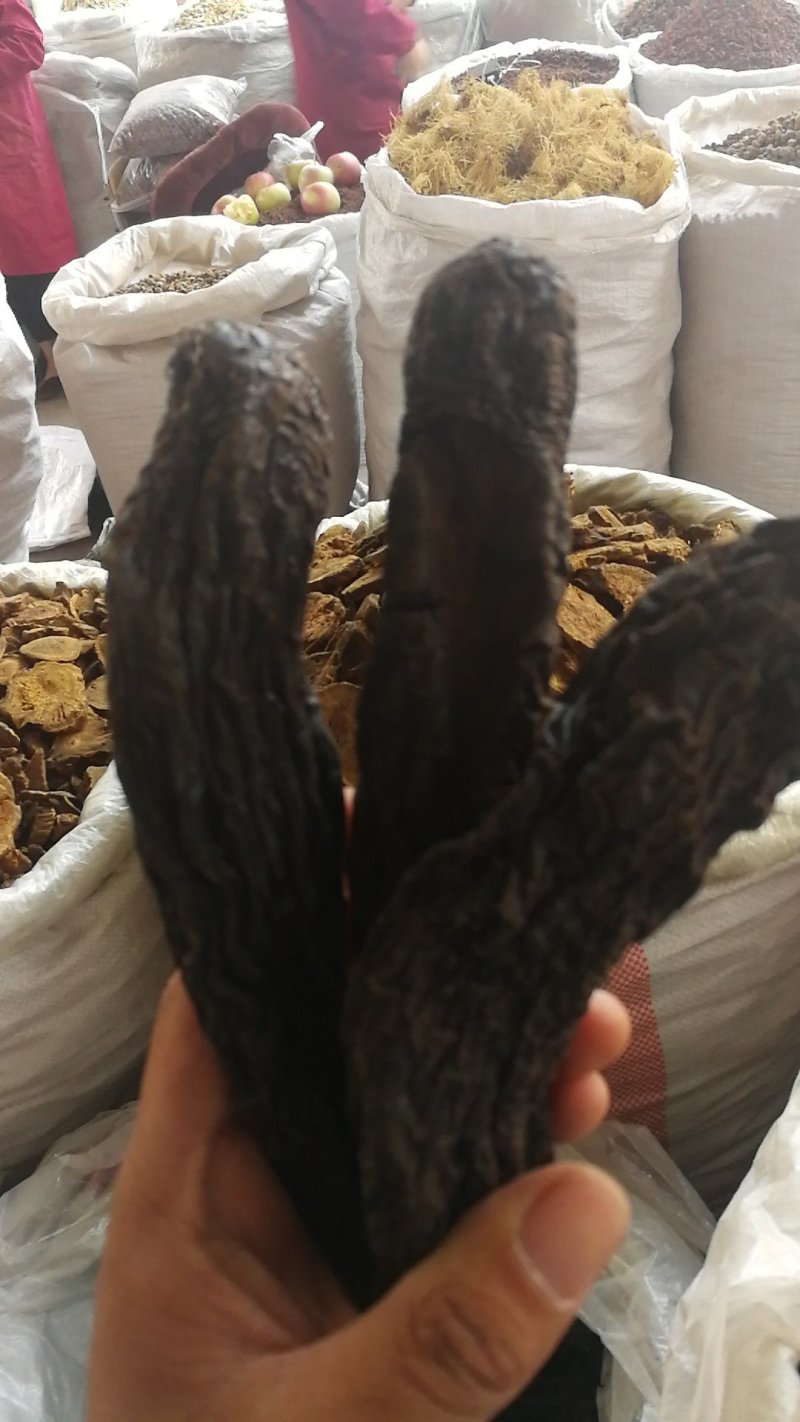 肉苁蓉硬大芸硬肉苁蓉产地直销量大从优