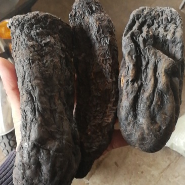 肉苁蓉硬大芸硬肉苁蓉产地直销量大从优