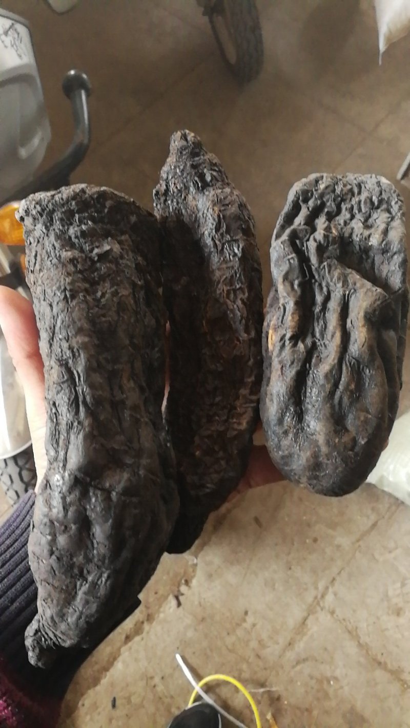 肉苁蓉硬大芸硬肉苁蓉产地直销量大从优