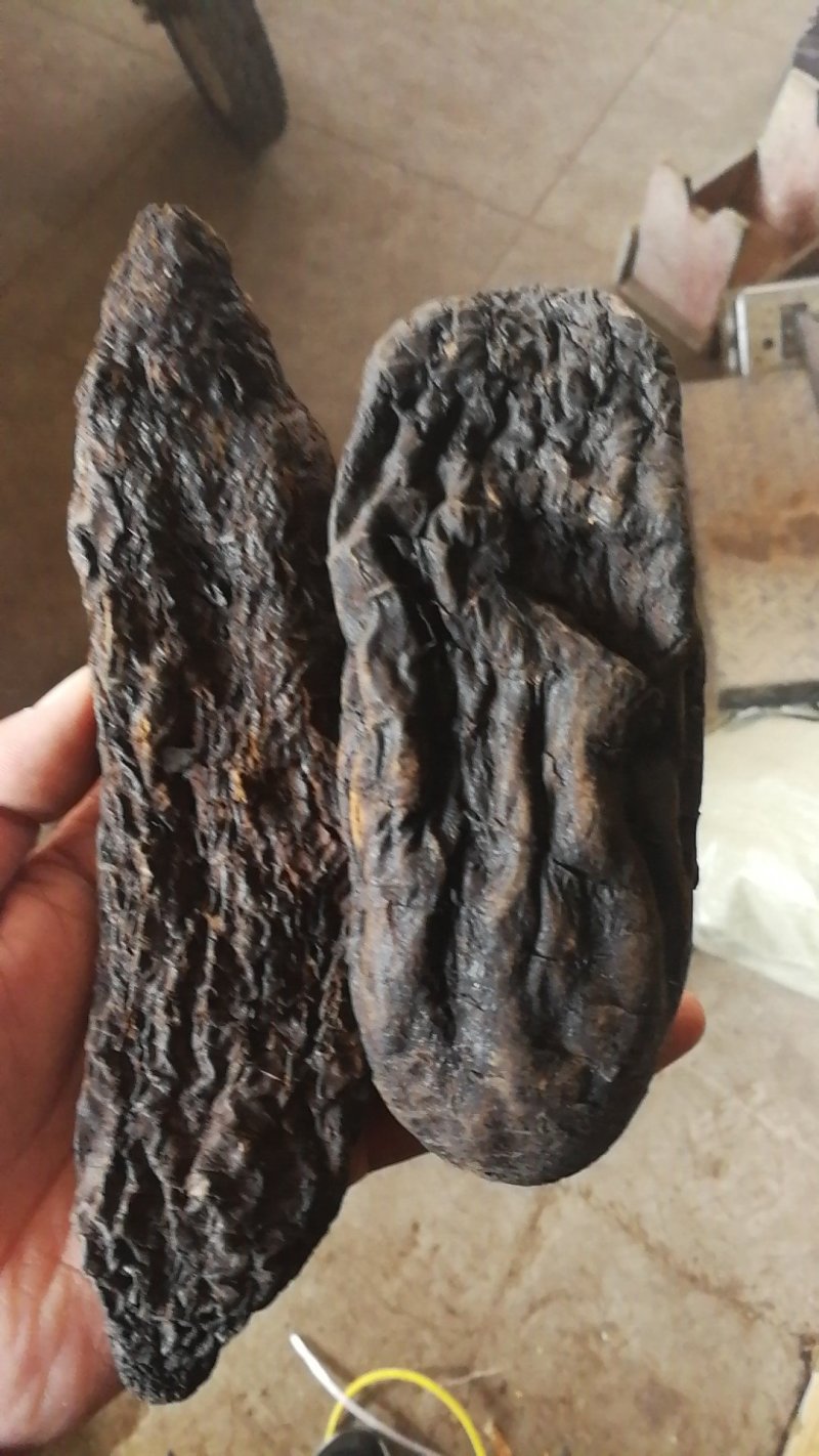 肉苁蓉硬大芸硬肉苁蓉产地直销量大从优