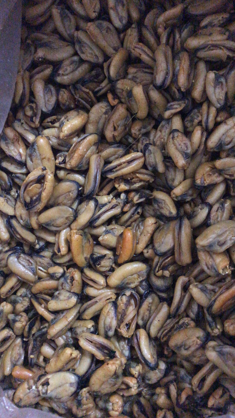 淡菜大号淡菜干货打汤青口贝类