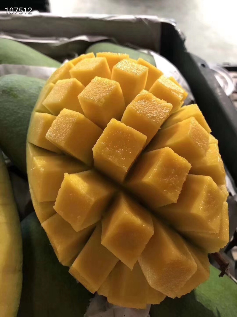 大青芒