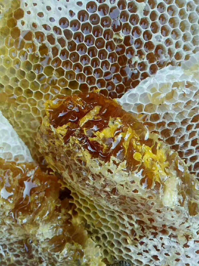 野生蜂蜜，美容养颜消除积食恢复疲劳镇静安眠功效真正的