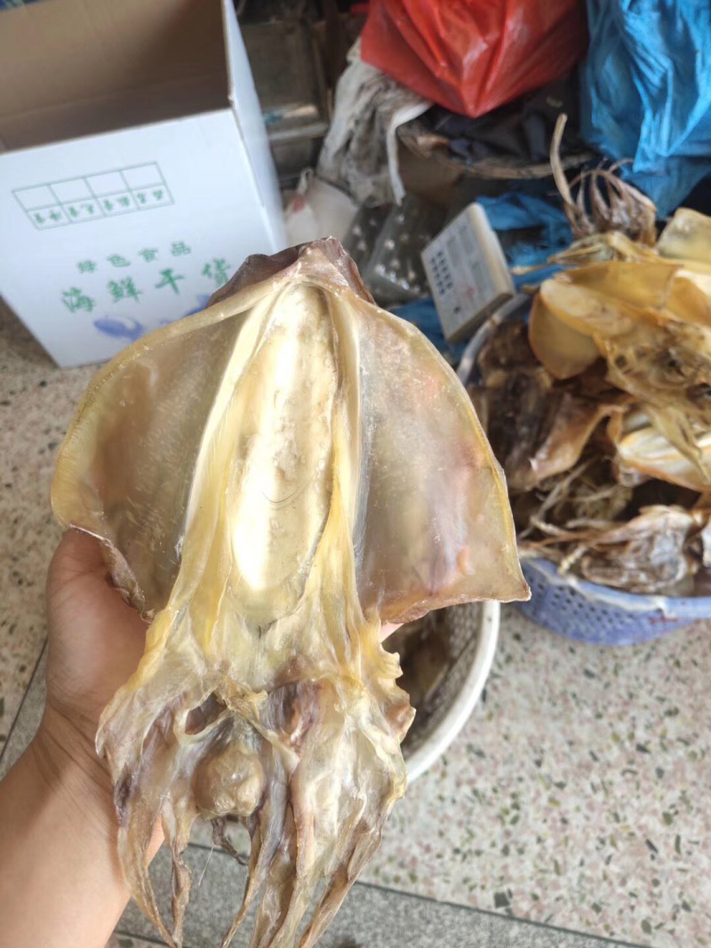 包邮东山岛自晒淡干墨鱼干炖汤滋补月子餐