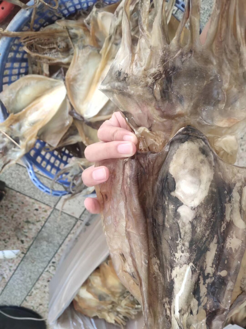 包邮东山岛自晒淡干墨鱼干炖汤滋补月子餐