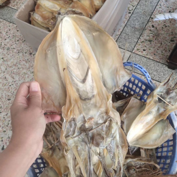 包邮东山岛自晒淡干墨鱼干炖汤滋补月子餐