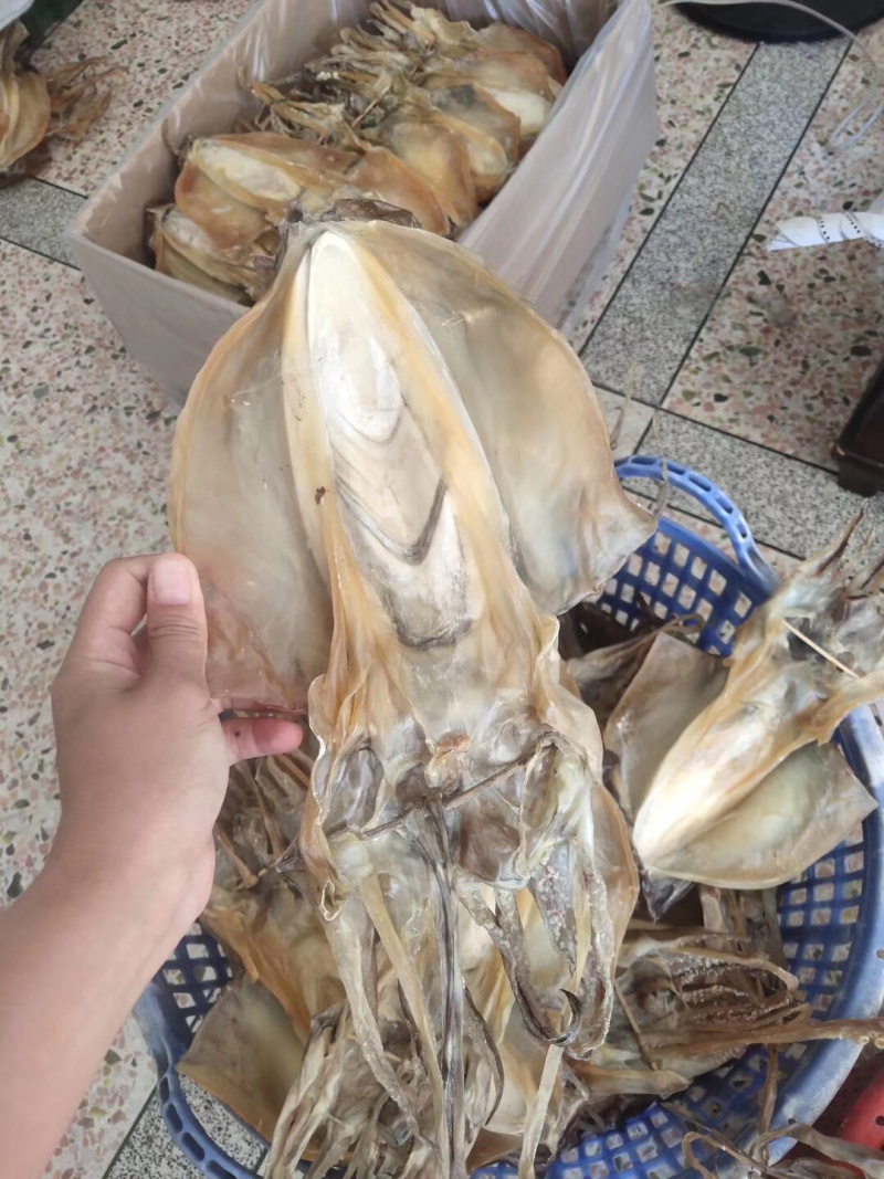 包邮东山岛自晒淡干墨鱼干炖汤滋补月子餐