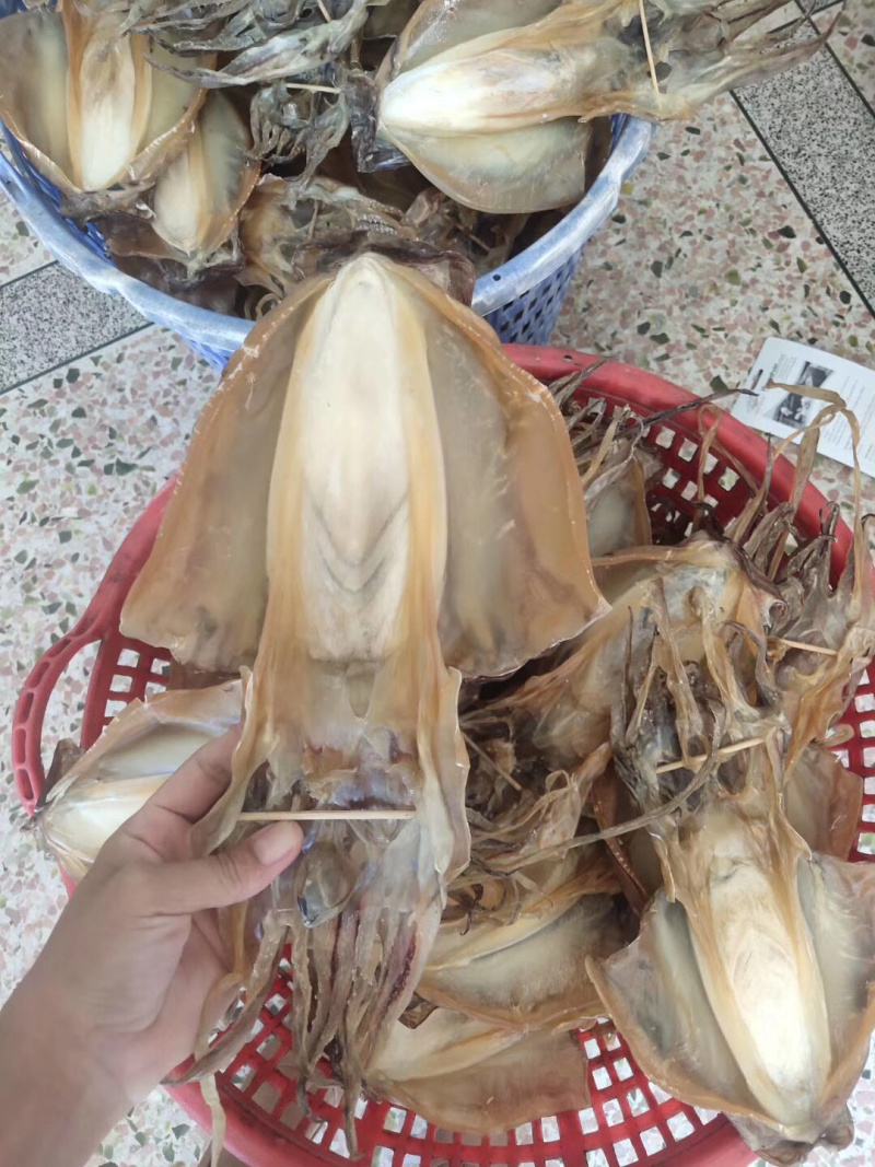 包邮东山岛自晒淡干墨鱼干炖汤滋补月子餐