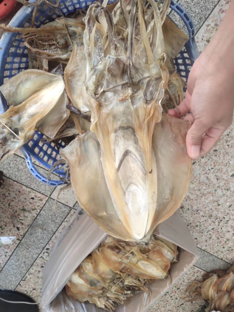 包邮东山岛自晒淡干墨鱼干炖汤滋补月子餐
