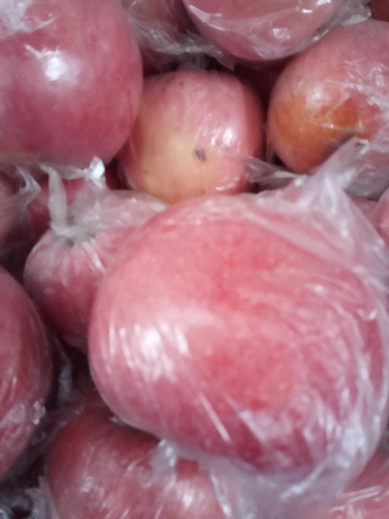 【优质纸袋，】纸加膜红富士苹果表面：口感甜脆长期销售。