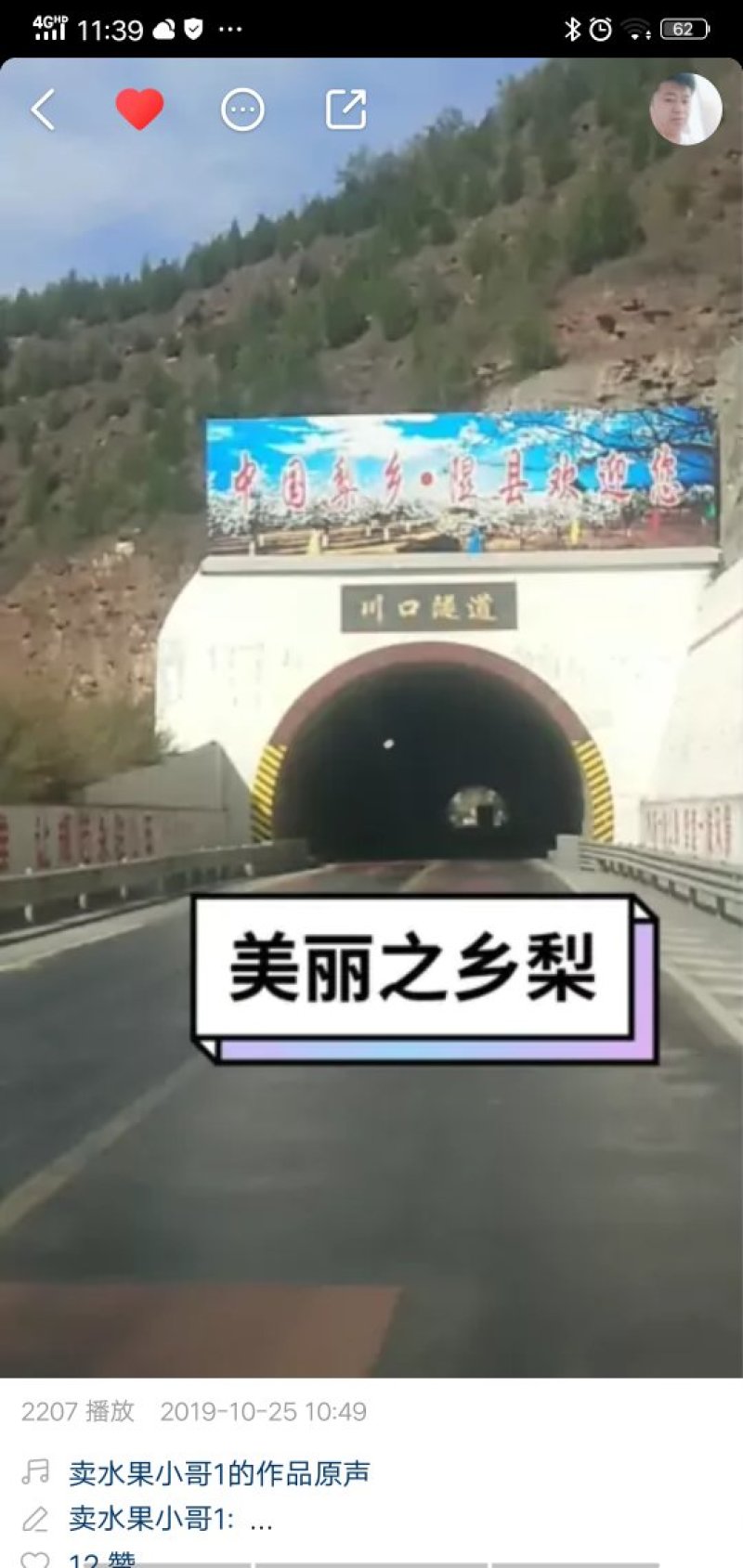 隰县酥梨
