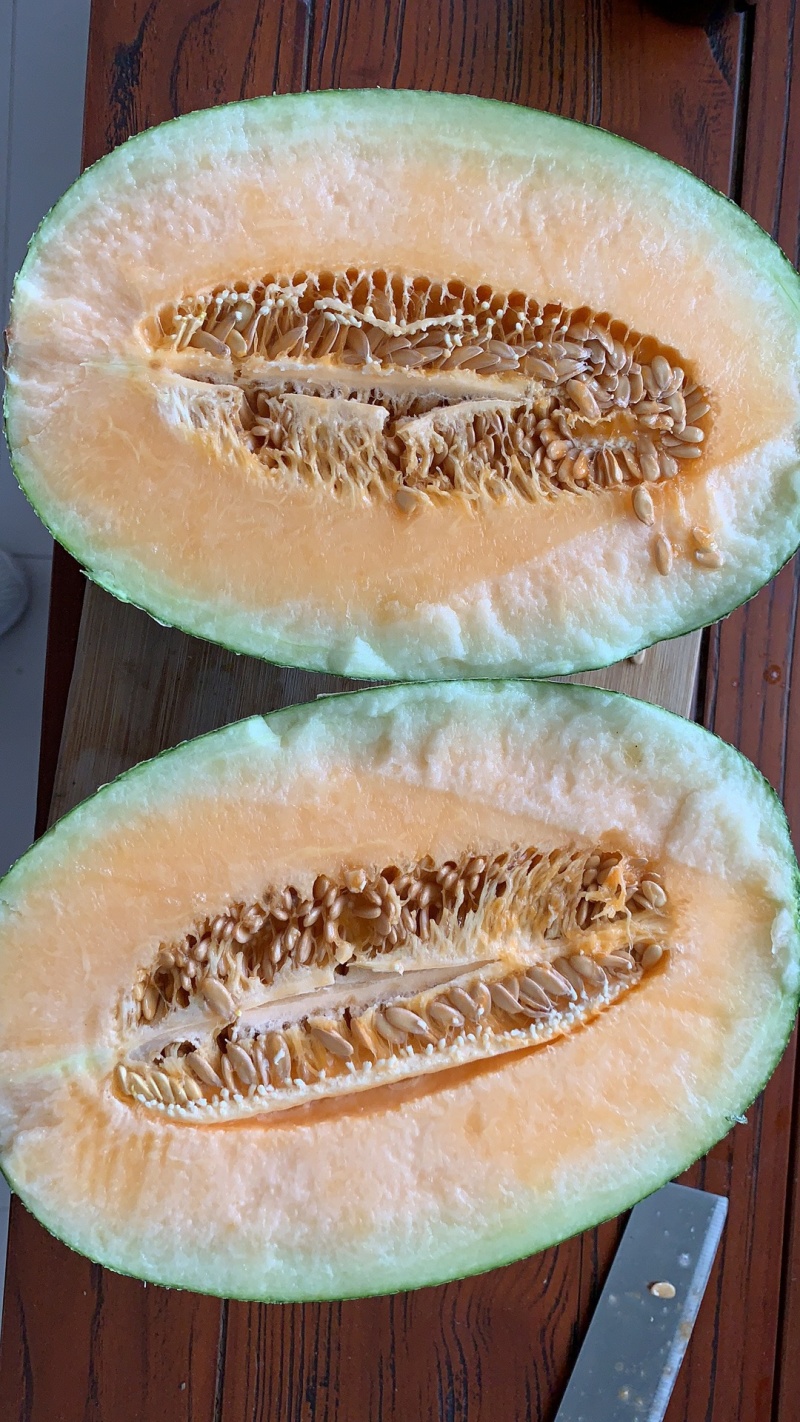 哈密瓜