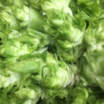 儿菜(小头儿菜)