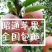 昭通糖心苹果要的快快下单了