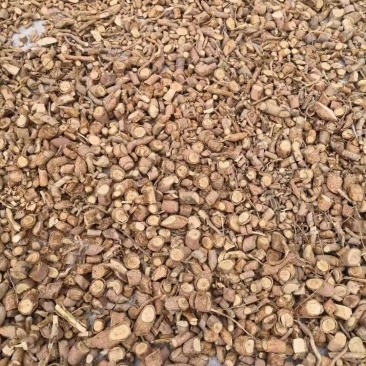 两面针根切段枝切片大货批发零售