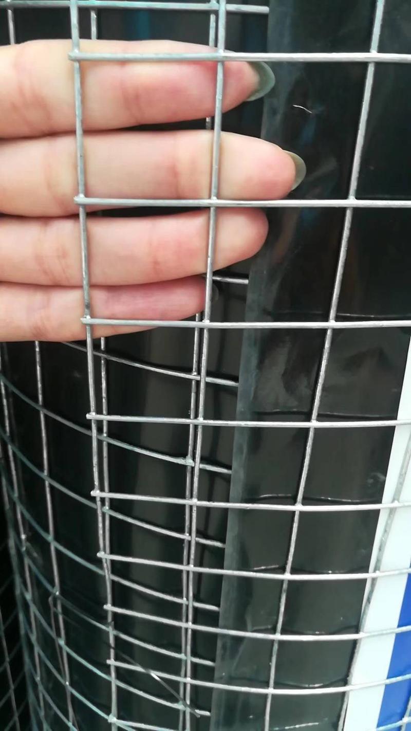 镀锌电焊网铁丝网围栏网防护网漏粪网防鼠防虫防蛇网
