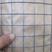镀锌电焊网铁丝网围栏网防护网漏粪网防鼠防虫防蛇网