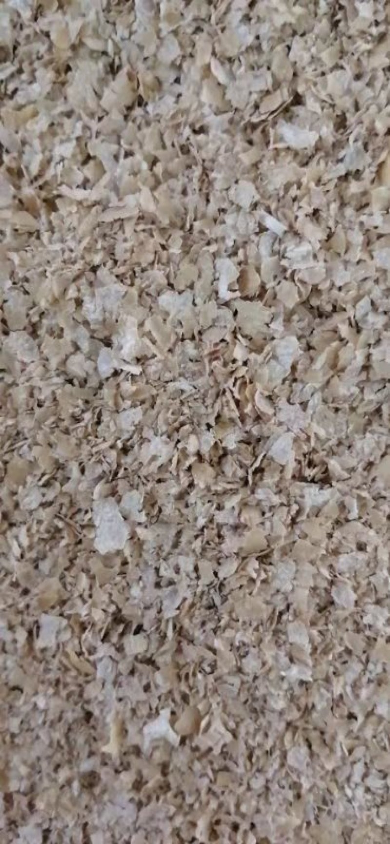 麸皮