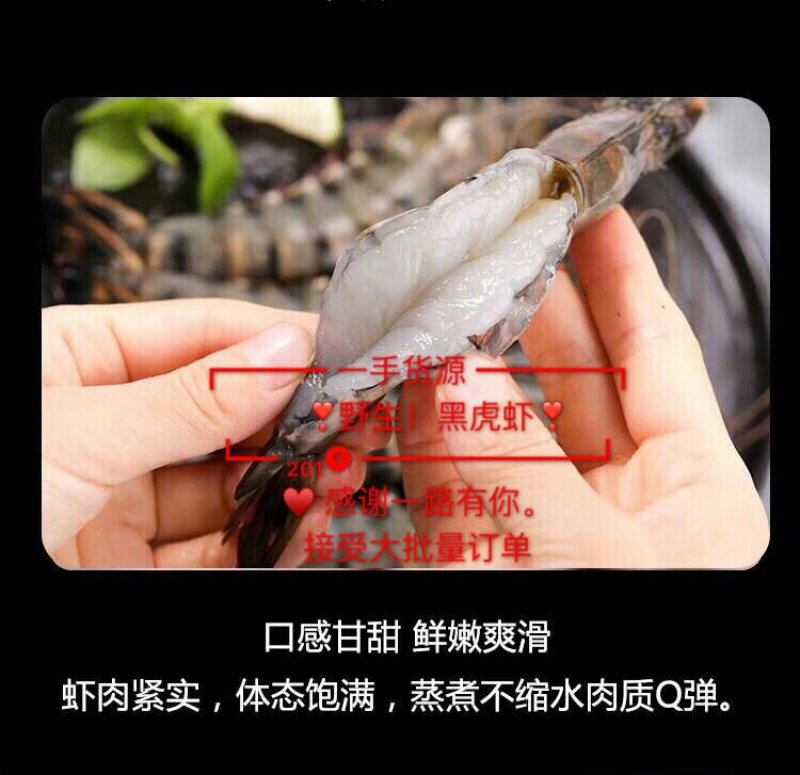 野生越南黑虎虾产地直销常年供货量大从