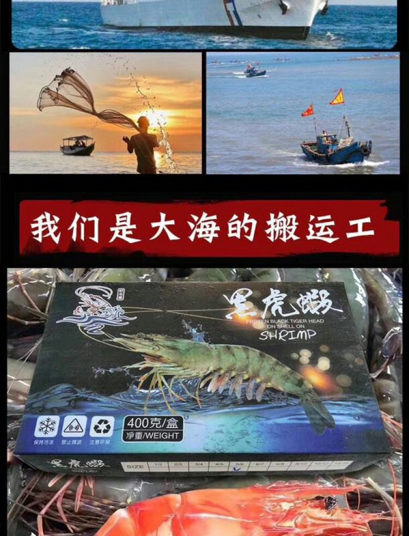野生越南黑虎虾产地直销常年供货量大从