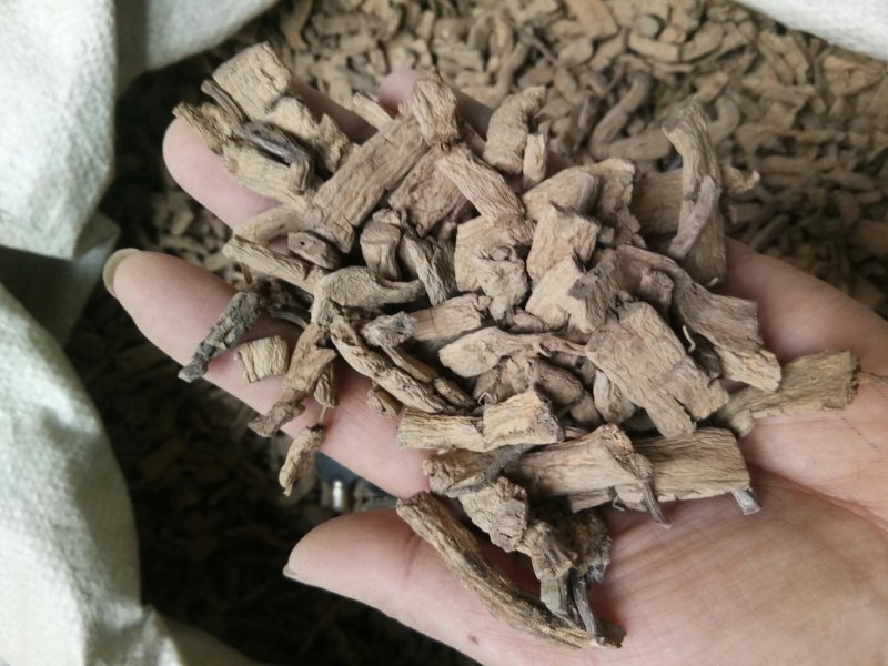 巴戟天无硫无添加不抽芯泡酒煲汤一公斤起