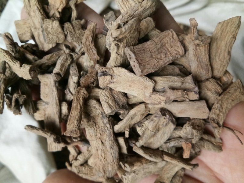 巴戟天无硫无添加不抽芯泡酒煲汤一公斤起