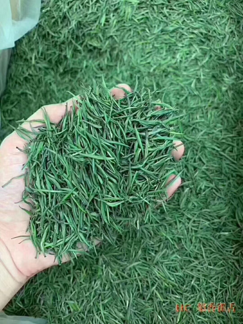竹叶青，生活有追求，饮茶有讲究。