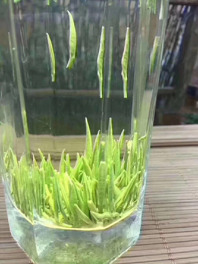 竹叶青，生活有追求，饮茶有讲究。