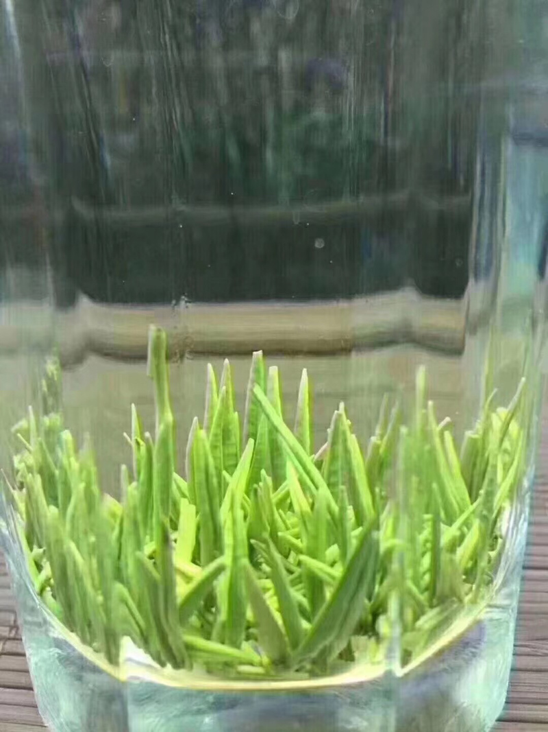 竹叶青，生活有追求，饮茶有讲究。