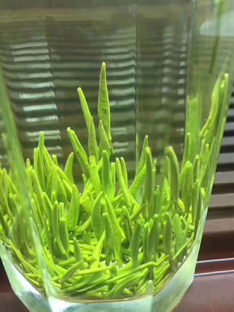 竹叶青，生活有追求，饮茶有讲究。