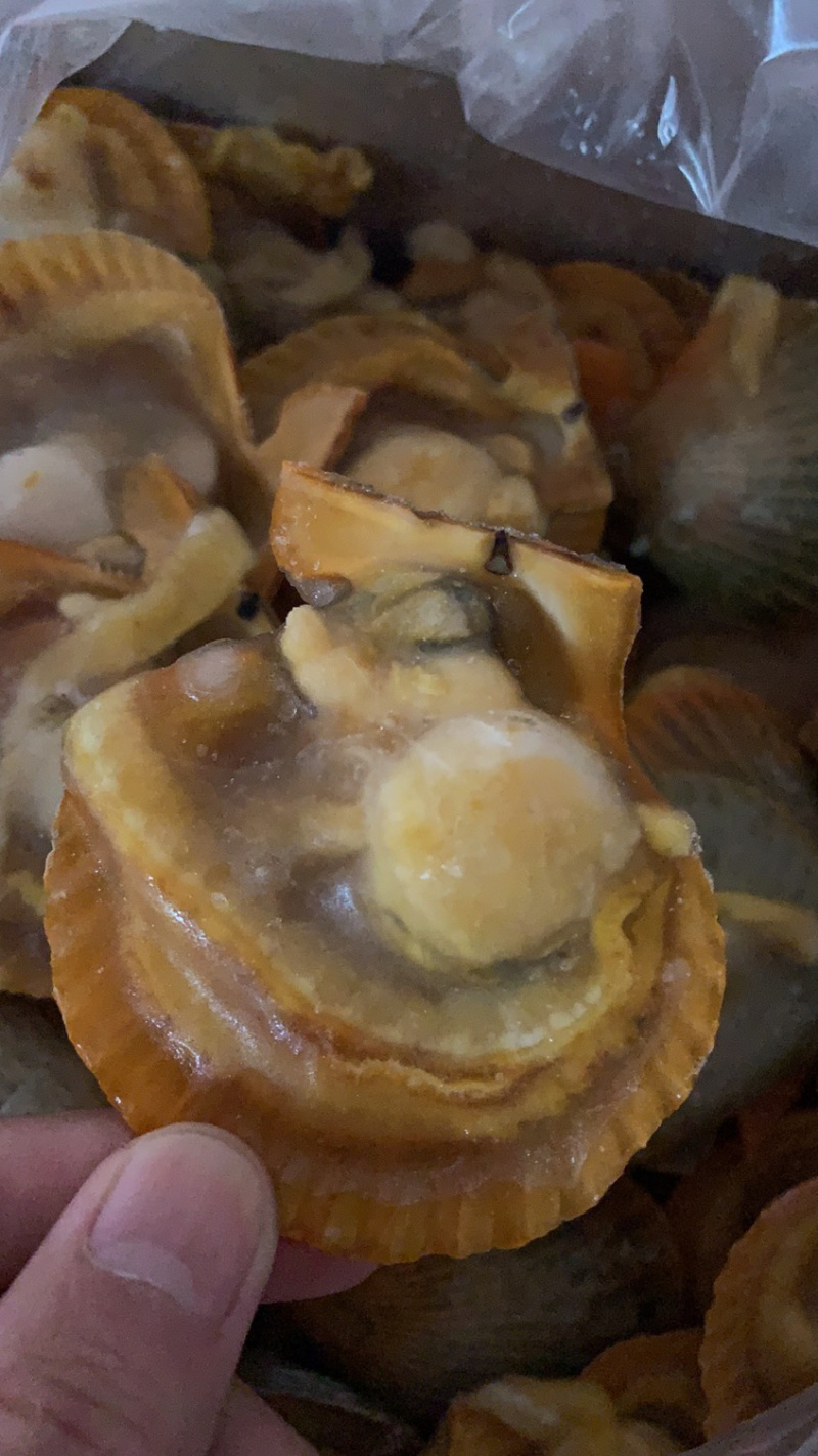 干冰黄金贝，4.5Kg/箱，7-8规格，140粒/箱