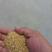 厂家供应高蛋白豆粨鸡鸭动物饲料大豆粕豆渣豆饼46含量