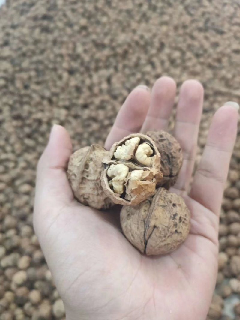 收获的季节金色传说干货多多欢迎联系谢谢！
