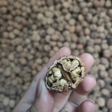 收获的季节金色传说干货多多欢迎联系谢谢！