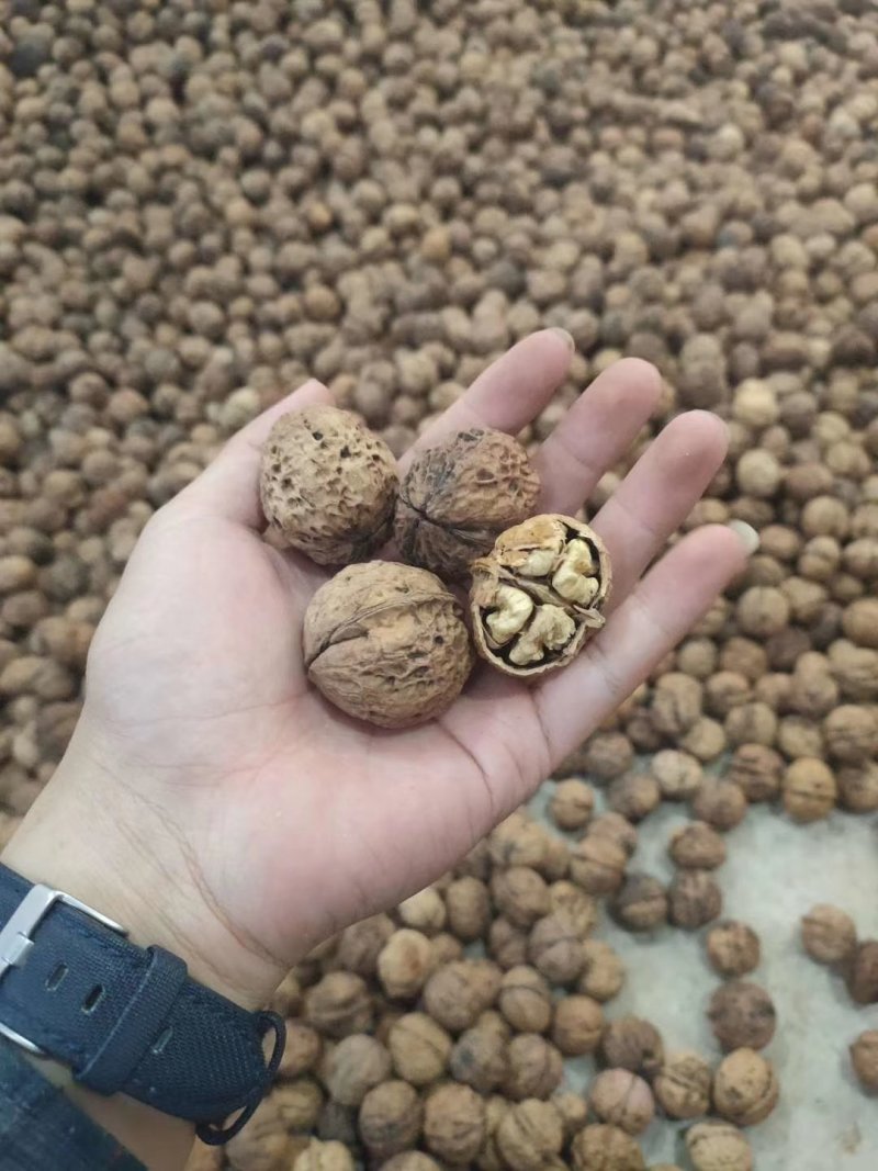 收获的季节金色传说干货多多欢迎联系谢谢！
