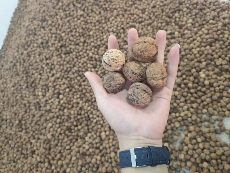 收获的季节金色传说干货多多欢迎联系谢谢！