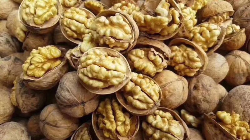 新疆阿克苏185纸皮核桃5斤包邮孕妇宝宝安全健康食品