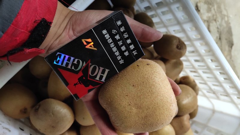 新鲜手选果蒲江黄心猕猴桃金艳商品果高次果各种规格