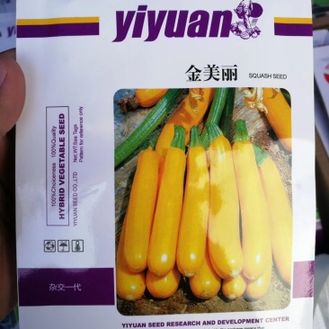 西葫芦种子，杂交，进口