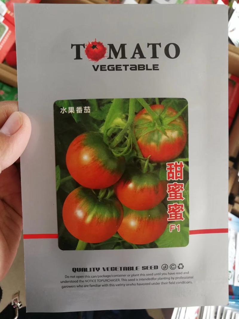 番茄种子，水果番茄