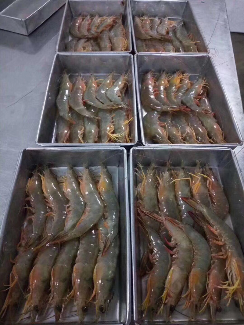 明虾