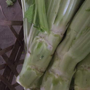 棒菜