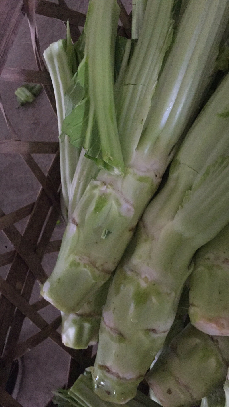 棒菜