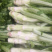 棒菜