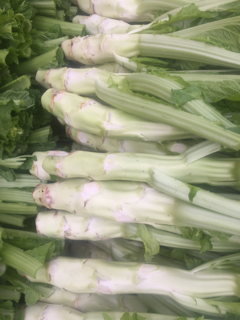 棒菜