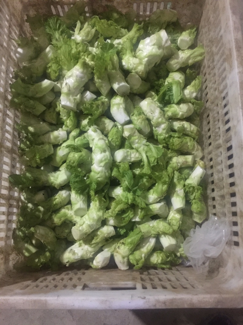 儿菜精品北京货