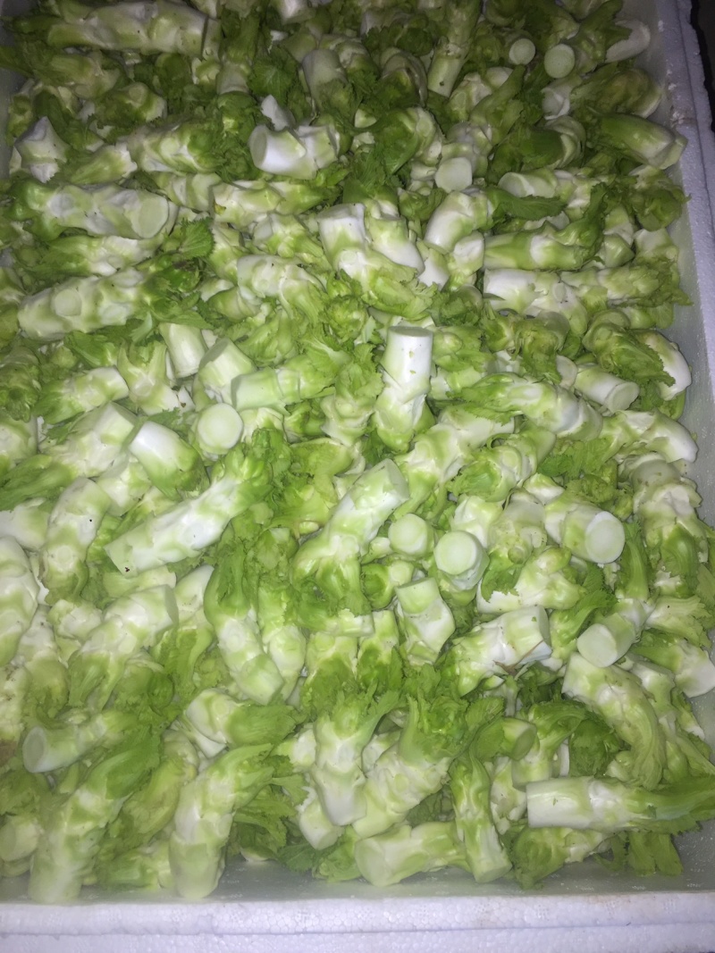 儿菜精品北京货